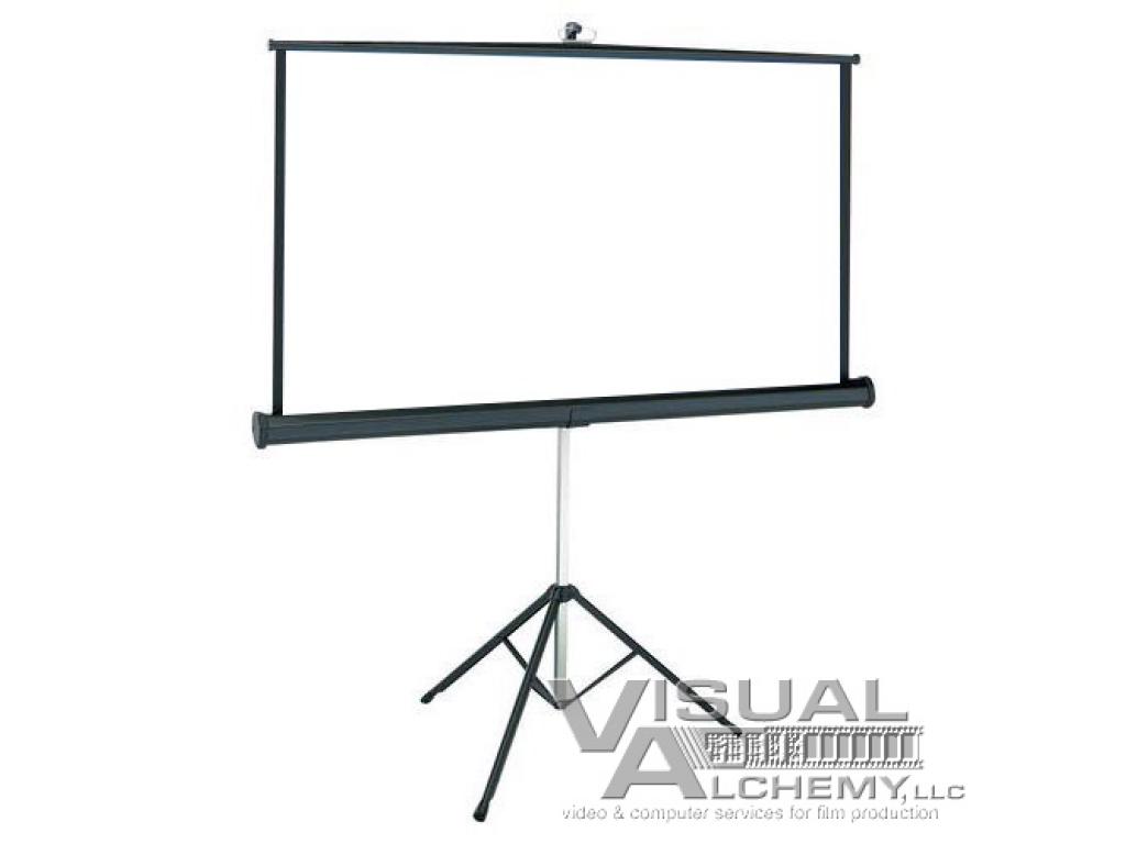 3' x 6' Projecta Tripod Projector Screen
